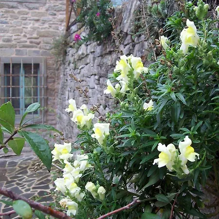 Pieve Di Ca Maggiore *