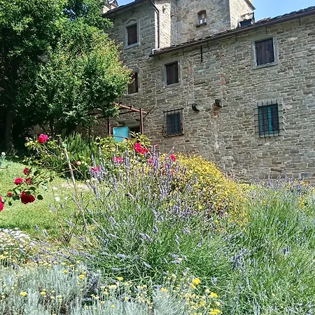 Pieve Di Ca Maggiore 아파트 피렌주올라
