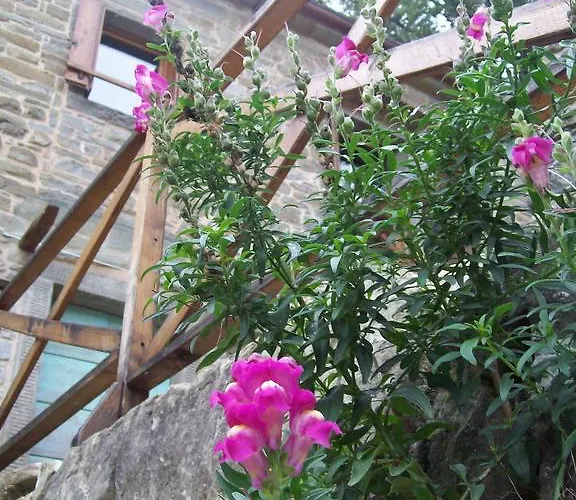 Pieve Di Ca Maggiore فيرينزولا